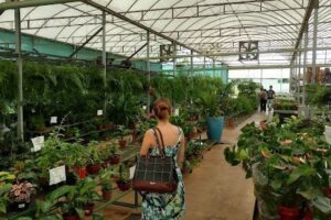 Matsuflora Garden Center Goiânia