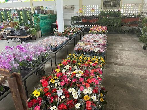 Mercado das Flores