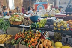 Mercado de Origem da Amazônia