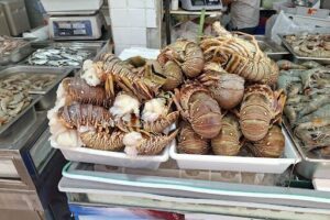 Mercado dos Peixes de Fortaleza