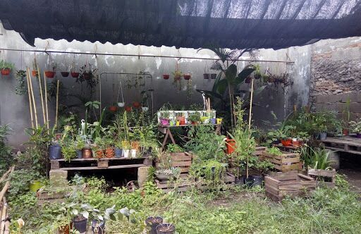 Mi Vivero . Producción agroecológica
