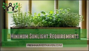minimum sunlight requirements