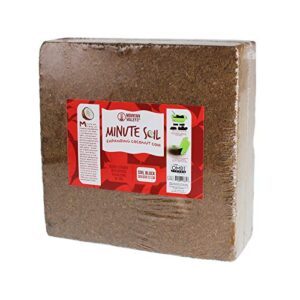 Mountain Valley Seed Company Minute B07JGH5X2K