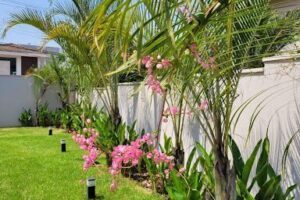 MT Garden Paisagismo