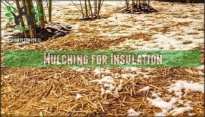 mulching for insulation