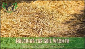 mulching for soil warmth