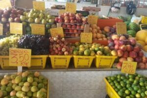 MUNDO DAS FRUTAS FEIRINHA