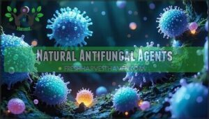 natural antifungal agents