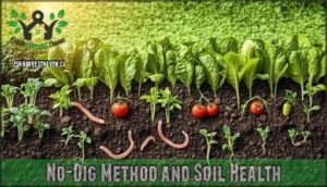 no-dig method and soil health