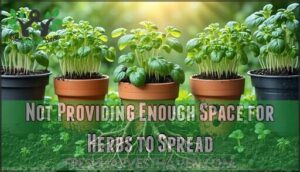 not providing enough space for herbs to spread