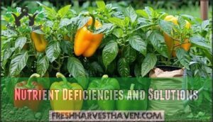 nutrient deficiencies and solutions