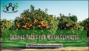 orange trees for warm climates