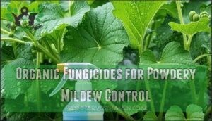 organic fungicides for powdery mildew control