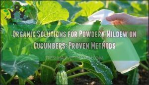 organic solutions for powdery mildew on cucumbers