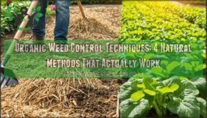organic weed control techniques
