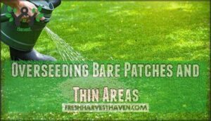 overseeding bare patches and thin areas
