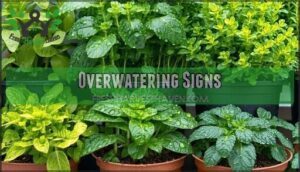 overwatering signs