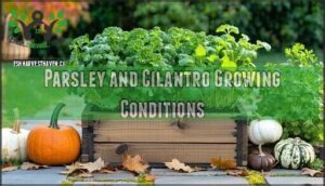 parsley and cilantro growing conditions