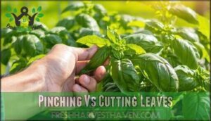 pinching vs cutting leaves