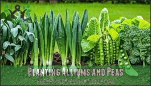 planting alliums and peas