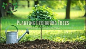 planting deciduous trees