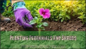 planting perennials and shrubs