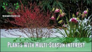 plants with multi-season interest