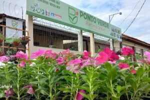 Ponto Verde Plantas & Jardins