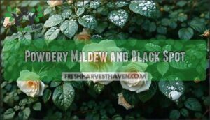 powdery mildew and black spot