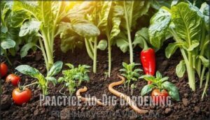 practice no-dig gardening