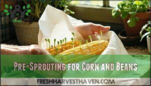 pre-sprouting for corn and beans