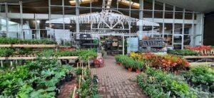 Primavera Garden Center