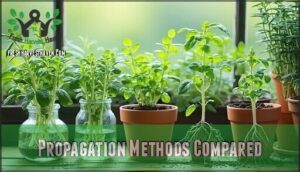 propagation methods compared