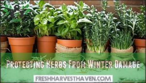 protecting herbs from winter damage