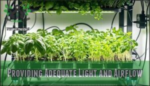 providing adequate light and airflow