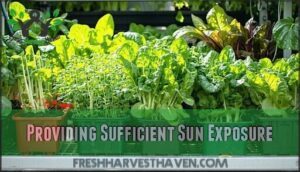 providing sufficient sun exposure
