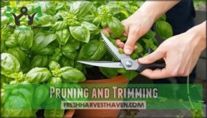 pruning and trimming