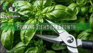 pruning stems for growth
