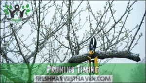 pruning timing