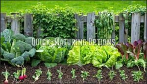 quick-maturing options