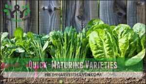 quick-maturing varieties