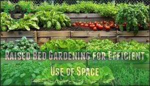 raised bed gardening for efficient use of space
