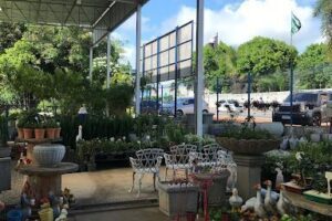 Recanto das Plantas