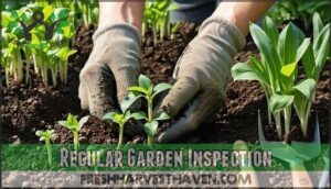 regular garden inspection