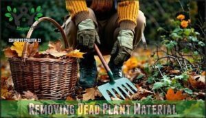 removing dead plant material