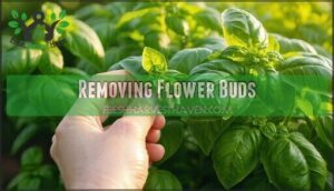 removing flower buds