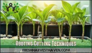 rooting cutting techniques