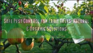 safe pest control for fruit trees
