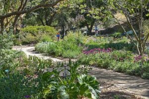 San Luis Obispo Botanical Garden