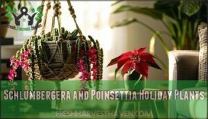 schlumbergera and poinsettia holiday plants